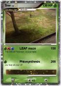 Tree