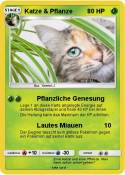 Katze & Pflanze