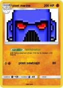 pixel marins