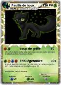 Feuille de houx