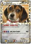 dog lv.ex