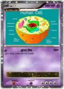 cell