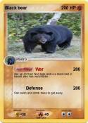 Black bear