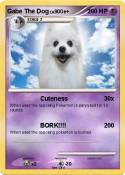 Gabe The Dog