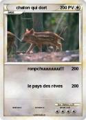 chaton qui dort