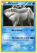 The shorce
