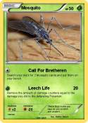 Mosquito