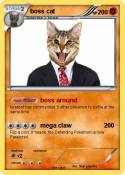 boss cat
