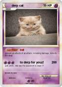 derp cat