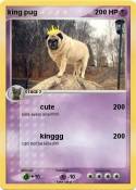 king pug