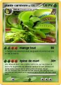 plante