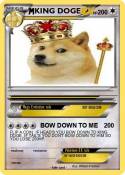 KING DOGE