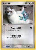 Chat+DS