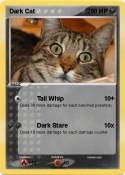 Dark Cat