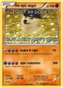 the epic doge!