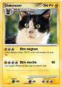 Chatonoxer