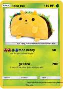taco cat