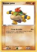 Bowser junior