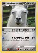 Mr.LlamaFace