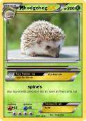 hodgeheg