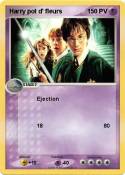Harry pot d'