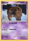 boerboel