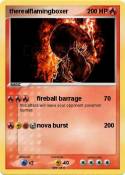 therealflamingb
