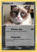 Grumpy cat