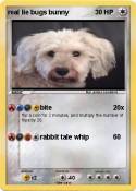 real lie bugs