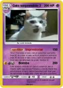Gato sorprendid
