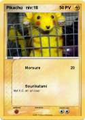 Pikachu niv:18