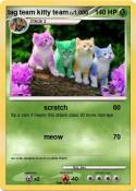 tag team kitty