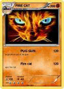 FIRE CAT