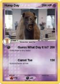 Hump Day