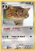 cat