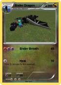 Ender Dragon