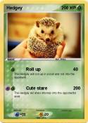 Hedgey