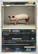 cochon