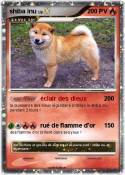 shiba inu