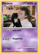 chat perdu