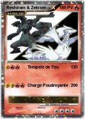 Reshiram &