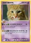  CHAT MORTEL