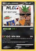 MLG cat
