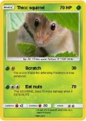 Thicc squirrel