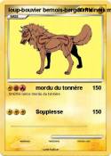 loup-bouvier