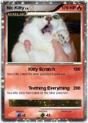 Nic Kitty