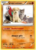 groupe animaux