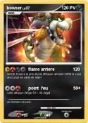 bowser