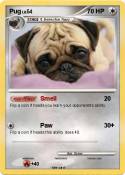 Pug