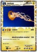 meduse